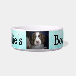 Tigela Azul personalizado do Aqua da bacia do cão da fot