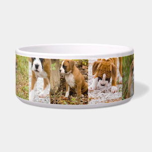 Tigela Bacia bonito da água da comida da colagem do cão