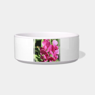 Tigela Bacia cor-de-rosa do animal de estimação da