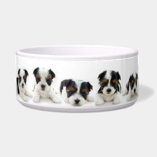 Tigela Bacia da comida - filhote de cachorro de Biewer