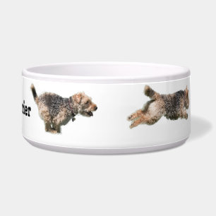 Tigela Bacia de funcionamento do cão de galês Terrier