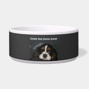 Tigela Bacia descuidado do cão do Spaniel de rei Charles