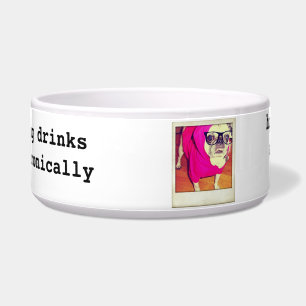 Tigela Bacia do alimento para cães do Pug do hipster