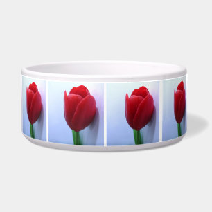 Tigela Bacia do animal de estimação das tulipas