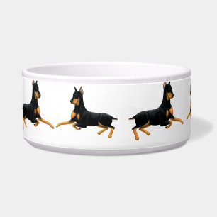 Tigela Bacia do animal de estimação do cão do Pinscher