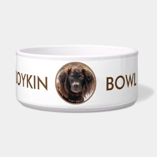 Tigela Bacia do animal de estimação do Spaniel de Boykin