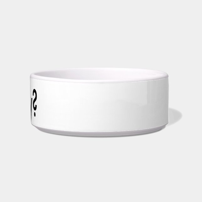 Tigela bacia do gato (Direita)