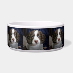 Tigela Bacia personalizada do alimento para cães da foto