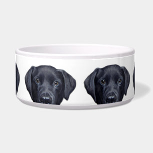 Tigela Bacia preta da água de labrador retriever