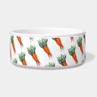 Bando de Carrots Orange Vegetable Veggie Garden