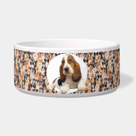 Tigela Basset Hound Personalize Fotografia e Nome Dog Bow
