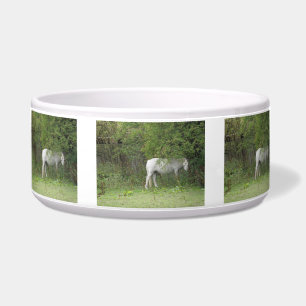 Tigela Boliche de Animais de Estimação de Cavalo Branco