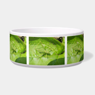 Tigela Boliche de Cachorro Verde