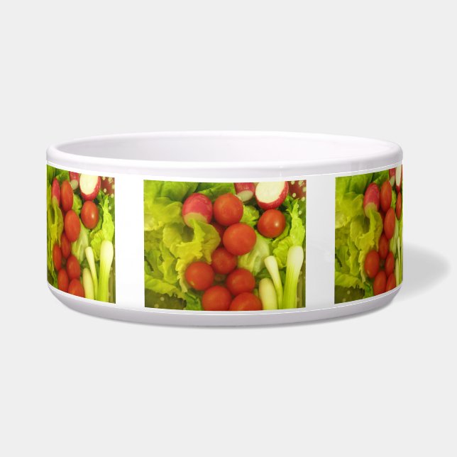 Tigela Boliche de Cães de Salada Vegetal (Frente)