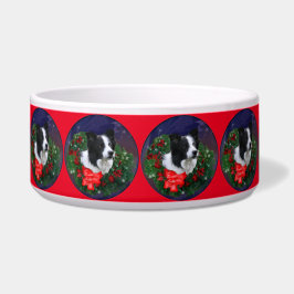 Tigela Border Collie Christmas