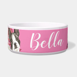 Tigela Boston Terrier Dog