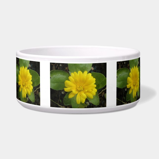 Tigela Bright Yellow Marigold Dog Bowl (Frente)