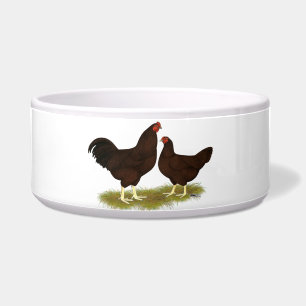 Tigela Buckeye Chickens