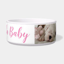 Buldogue Cãozinho Dormindo