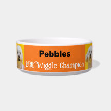 Bumbum Laranja Engraçado Wiggle Champion