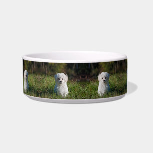 Tigela Cachorrinho branco fofo