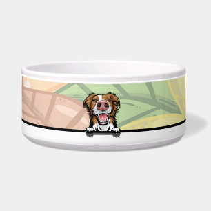 Tigela Cachorro Border Collie Fofo Espiando, comida ou be