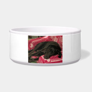 Tigela Cachorro Dormido Pet Bowl