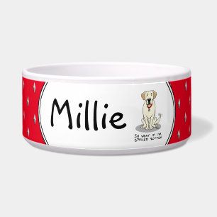 Tigela Cachorro Gelado Amarelo Gelado Gelado Gelado