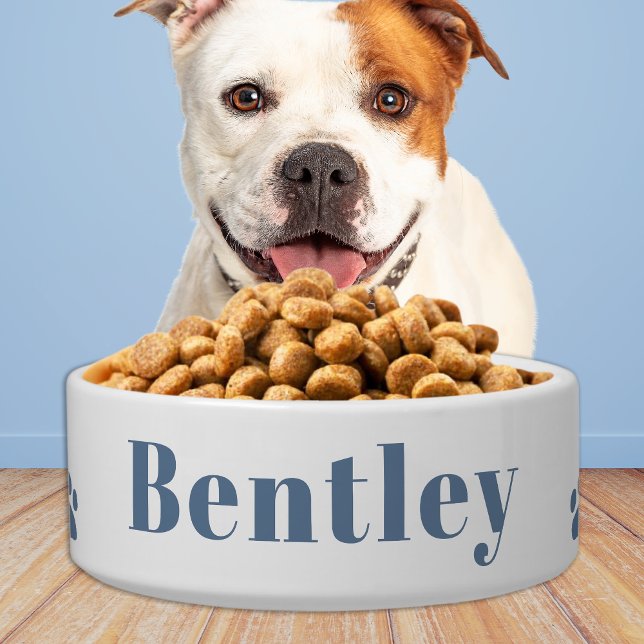 Tigela Cachorro Pet Moderno Personalizado Água Comida Azu (Criador carregado)