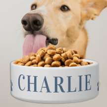 Cachorro Pet Moderno Personalizado Água Comida Azu