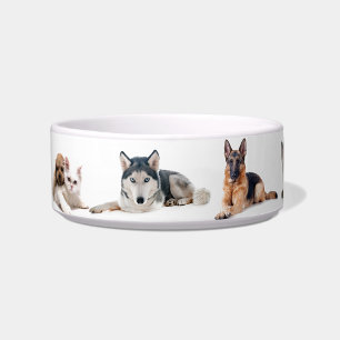 Tigela Cães lindos