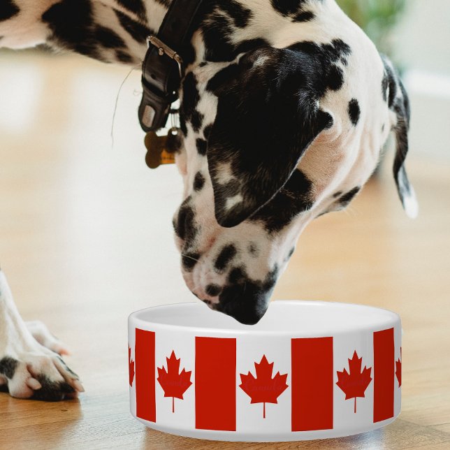 Tigela Canadá Red White Flag Mapepaaf (Canada Canadian flag pattern pet bowl)