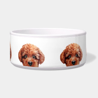 Tigela Caniche de brinquedo Brown avermelhado, design
