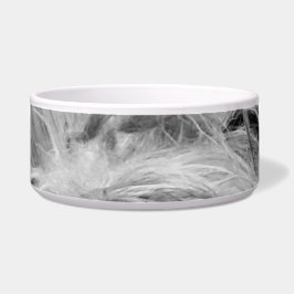 Tigela Cão Coton de Tulear