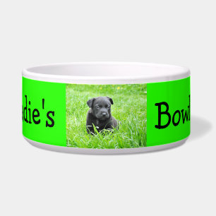 Tigela Cão feito sob encomenda personalizado da cor da