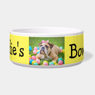 Tigela Cão feito sob encomenda personalizado da cor da