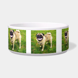 TIGELA CÃO FELIZ DO SORRISO FELIZ COMER MINHA BACIA DA