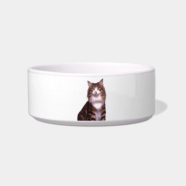 Tigela Cat Pet Bowl (Frente)