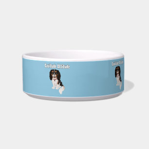 Tigela Cavaleiro de três cores King Charles Spaniel