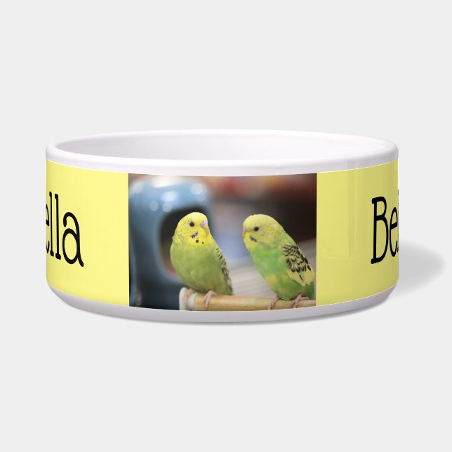 Tigela Chaves Sérias (Frente)