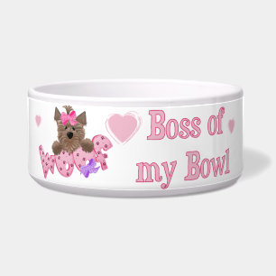 Tigela Chefe cor-de-rosa de meu prato do cão da bacia
