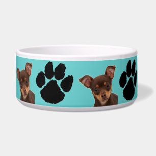 Tigela Chihuahua