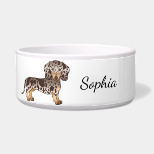 Tigela Chocolate e Tan Dapple Dachshund de Pelo Curto & N