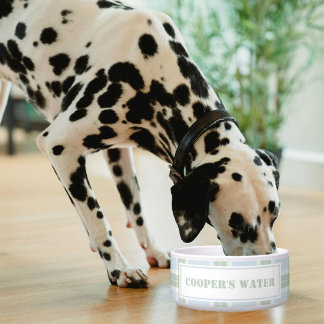 Tigela Classic Blue Green Plaid Pattern Name Dog Water