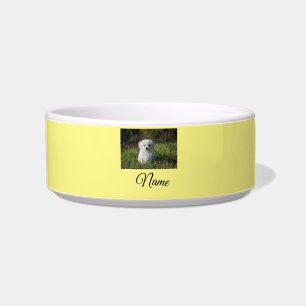Tigela Cobertor personalizado com foto de animal colorido