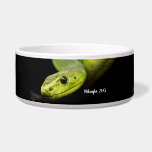 Tigela Cobra de Árvore Verde
