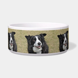 Tigela Collie de fronteira