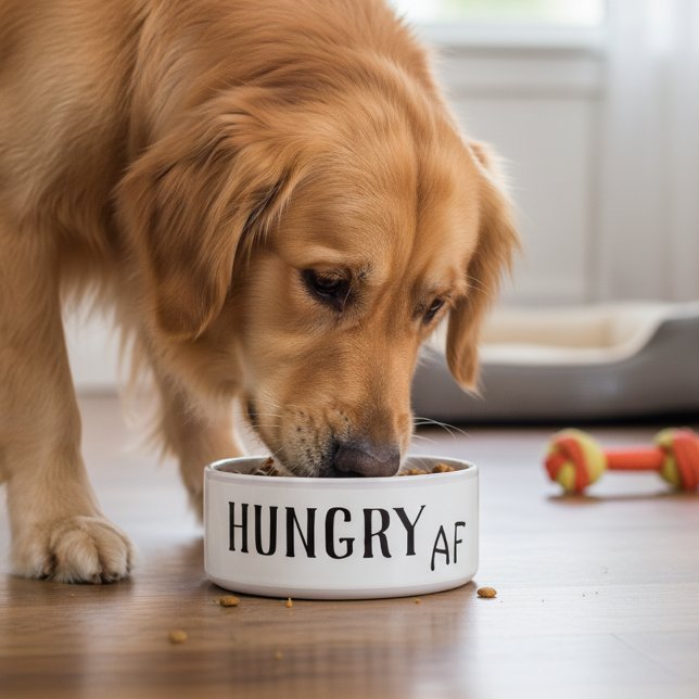 Tigela Comida AF Humor Engraçado Cachorro Gato Animal de  (Criador carregado)