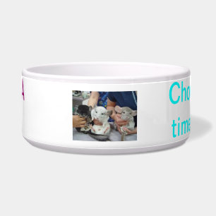 Tigela comida da chinchila