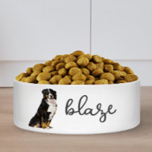 Comida Personalizada de Cachorro de Montanha Berne